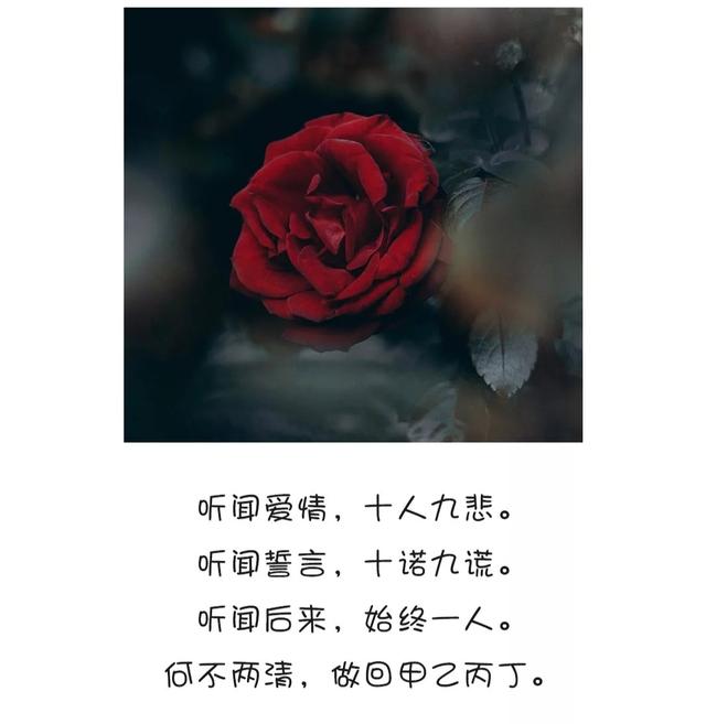 听闻爱情,十人九悲.听闻誓言,十诺九谎.听闻后来.始终一人.