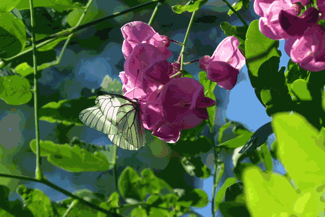 缘分, 是牵挂,是怨怼, 不懂得珍惜再痴情也惘然.