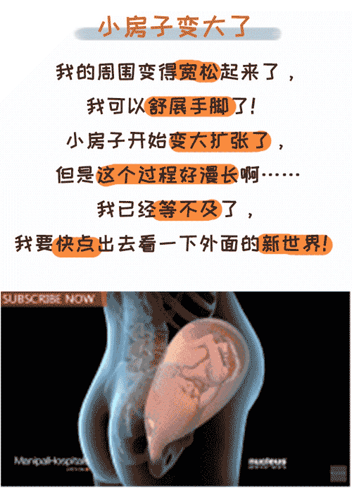 妈妈在分娩胎儿在干什么?这画面太有爱了,看一次笑一次(附图)