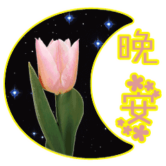 晚安.