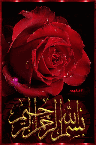 不要太在乎一个人,而失去自我,失去了全部