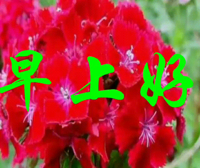 送上,群聊,不用打字就可以聊天的表情包大全!太美了