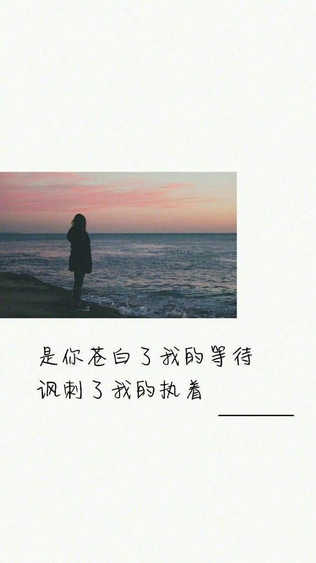 是你苍白了我的等待,讽刺了我的执着.