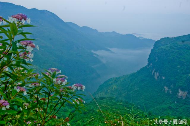 广安天意谷景区——重庆后花园,自驾游广安最美丽的