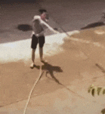 搞笑gif:有一束光 那瞬间 是什么痛的刺眼!