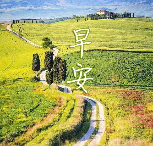 早安励志:在可以奋斗时,我们要用尽全力,不要等老了