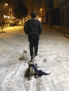 爆笑gif:天气太热了,除去外套冷静一下