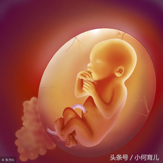 其实胎儿在妈妈肚子里时大脑就开始发育了,他们有自己的思维,虽然他们