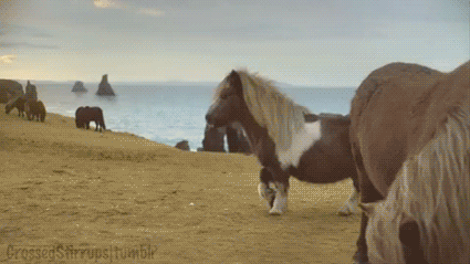 搞笑gif,蛇皮走位