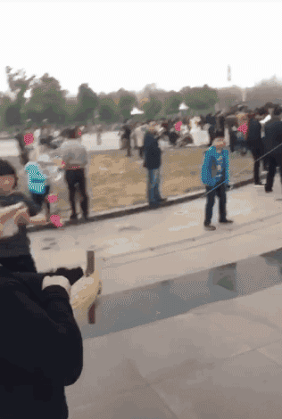 搞笑gif动图:天不怕地不怕的熊本熊遇到对手了!