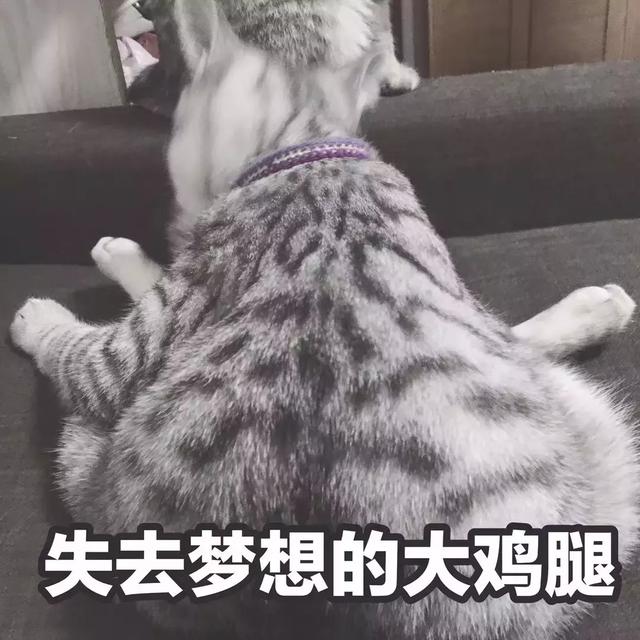 没有海鲜吃的男男女女,就好像失去了梦想,悲伤,忧郁,食不知味