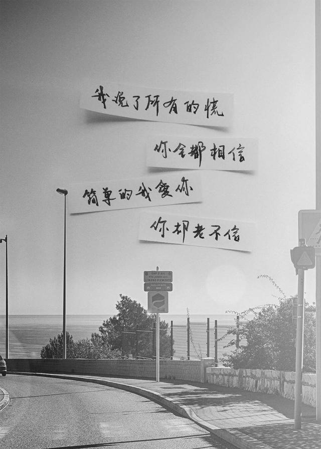 我说了所有的谎,你全都相信 .简单的我爱你,你却老不信.