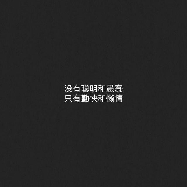 没有聪明和愚蠢 只有勤快和懒惰