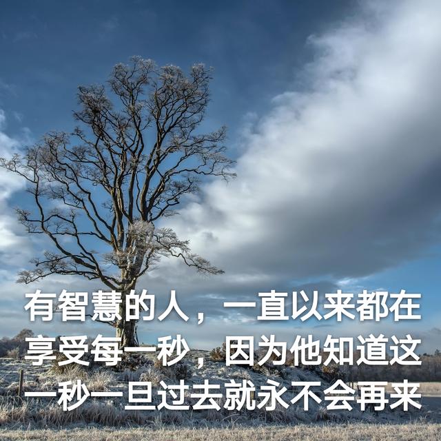 过去的事情可以不忘记,但一定要放下