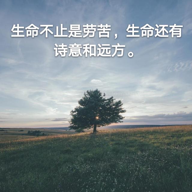 过去的事情可以不忘记,但一定要放下