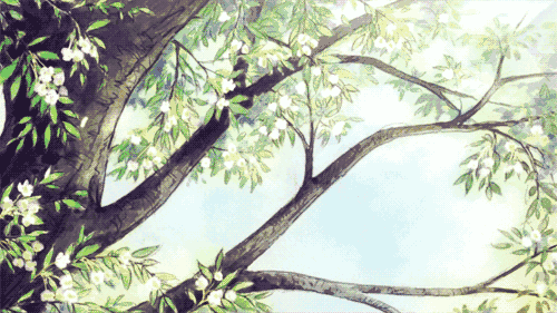 我爱你,无论七夕与朝夕