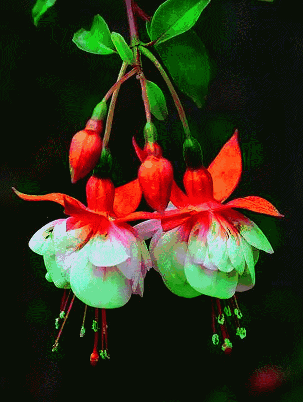 1难,2难,3难,4难,5难,6难,7难!(说到了心坎里)