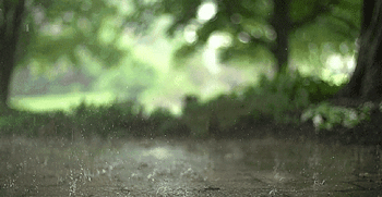 下雨天——睡眠障碍者的