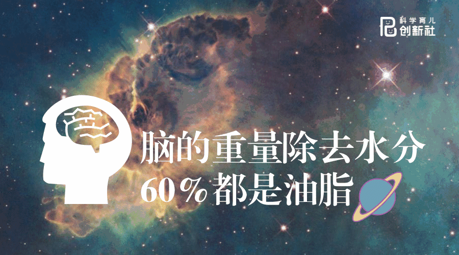 6岁前是脑发育黄金期,多吃这几种食物,孩子会更聪明