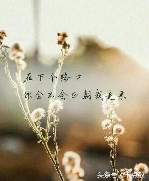 诗意句子,心之远方