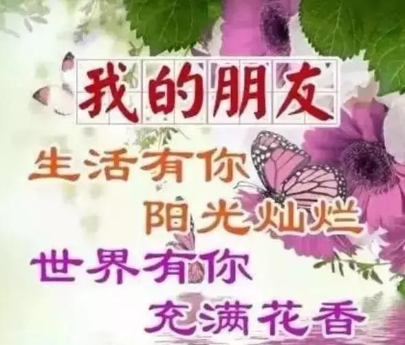 好朋友简简单单 ~ ~好情谊清清爽爽~ ~好缘分长长久久