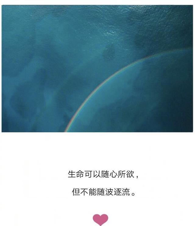 生命可以随心所欲,但不能随波逐流