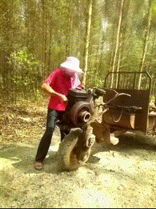 「搞笑gif动图」爱是一道光,绿的你发亮,看我的新发型