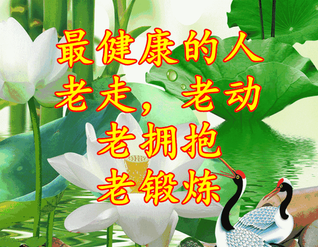 《吉祥长寿相册》实在太美太漂亮了,祝大家吉祥健康!