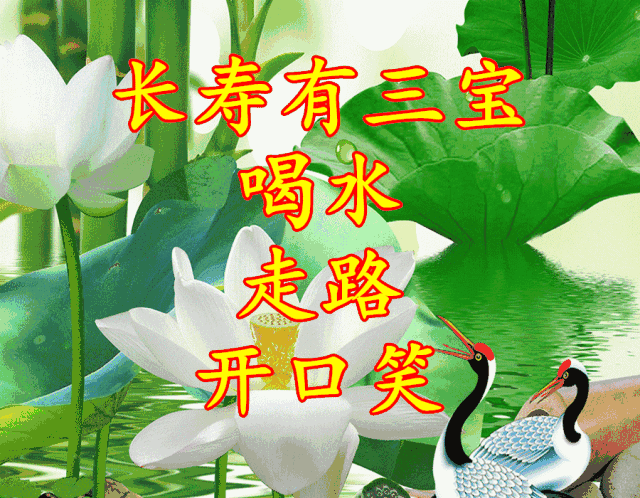 《吉祥长寿相册》实在太美太漂亮了,祝大家吉祥健康!