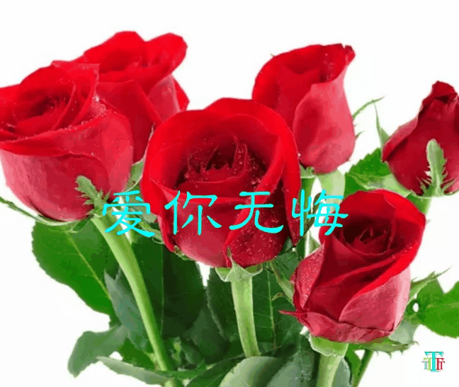 千年等一回动态表情包