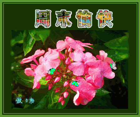 16,早上好,送上漂亮祝福语表情包大全,从此不打字