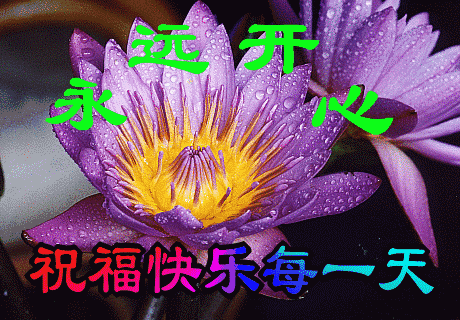 16,早上好,送上漂亮祝福语表情包大全,从此不打字