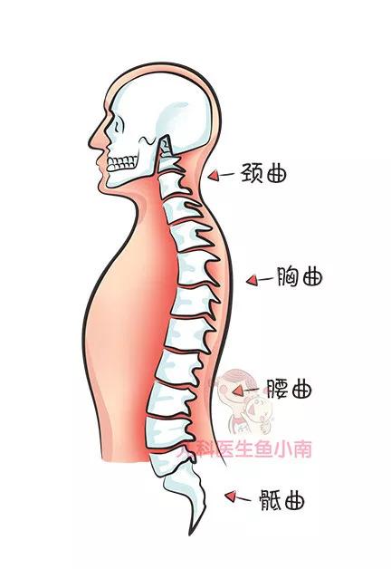 这回亏大了，你这5个错误会伤害宝宝脊柱！宝宝未来身高全毁了！