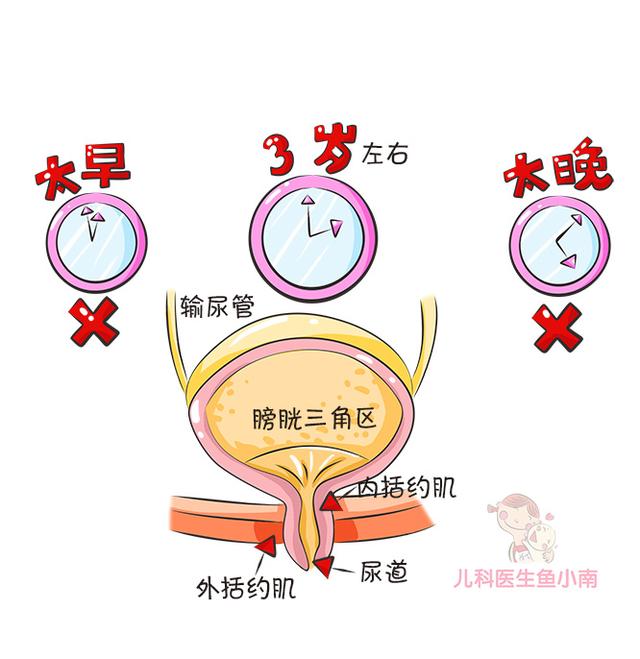 宝宝如厕训练何时开始，怎样顺利脱纸尿裤？别错过夏日训练好时机