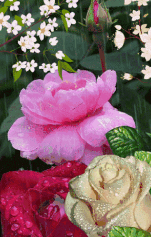 309_486 竖版 竖屏