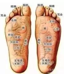 䛲鿴D