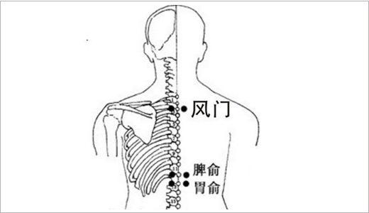 [主治]支气管炎,哮喘,肺炎,自汗,盗汗,背痛等症.