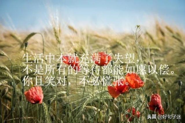 发朋友圈简短戳心的一句话哲理心情语句,句句入心