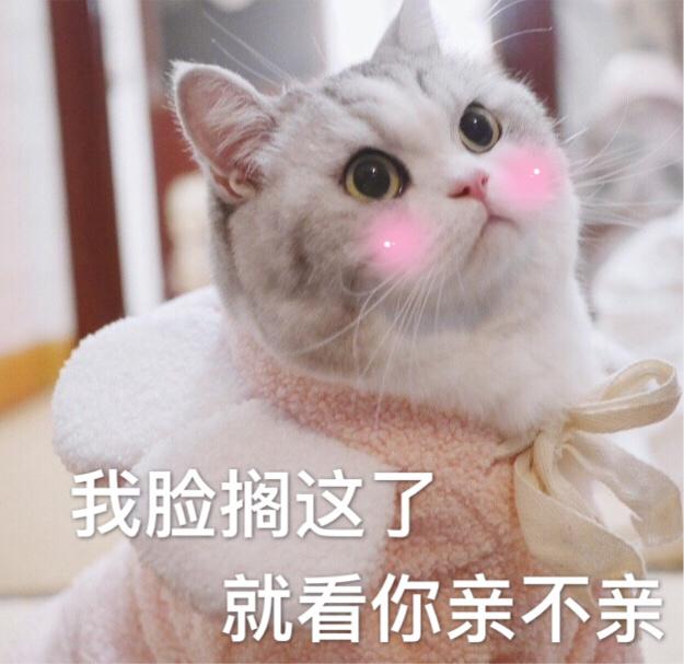 表情包:脸搁这了,就看你亲不亲