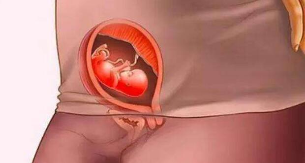 十月怀胎，孕妈身体是如何变化的