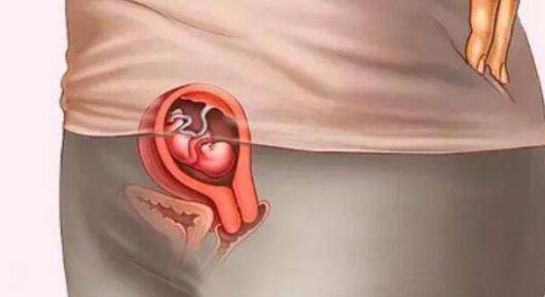 十月怀胎，孕妈身体是如何变化的