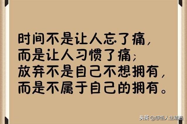 当你很累很累,撑不住时,就读一遍,会明白很多