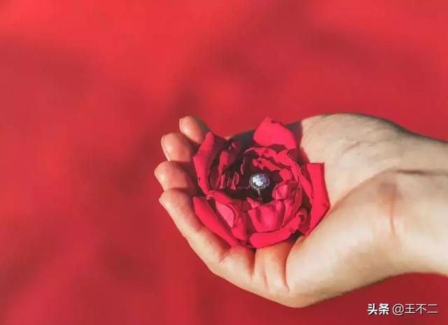 什么都不让她干,对她好的都让人有些嫉妒.