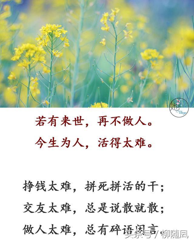 时光老了,人心淡了;计较少了,快乐多了