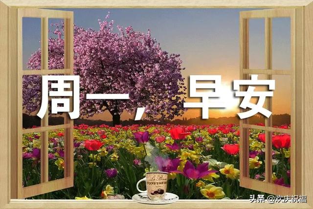生活处处有美景,人间时时有温暖