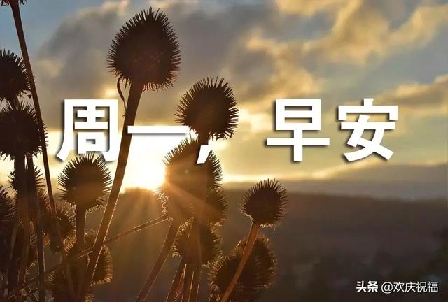生活处处有美景,人间时时有温暖