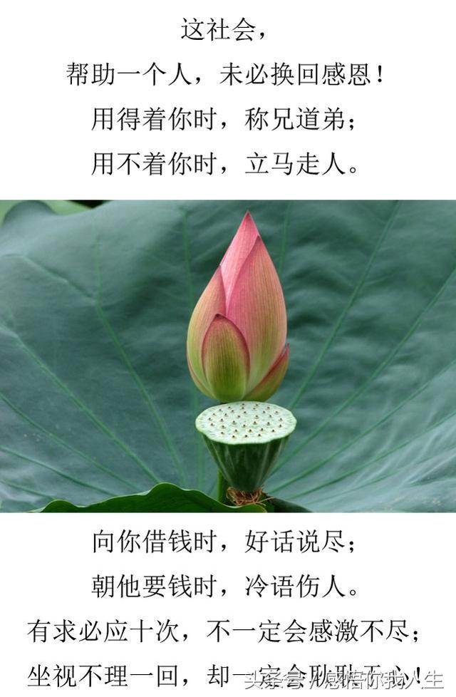 这年头,别把好心给错了人(感悟很深)