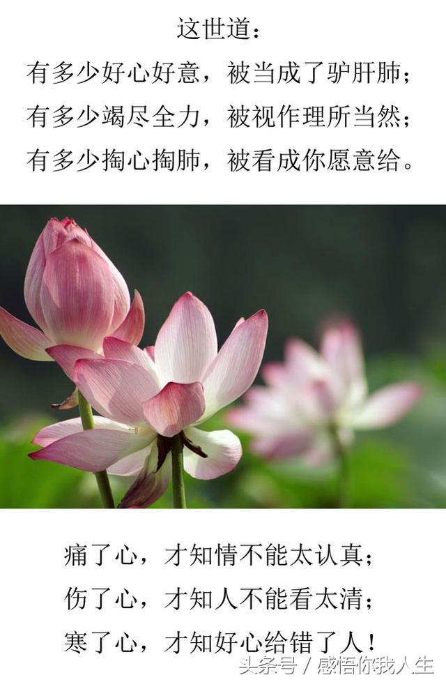 这年头,别把好心给错了人(感悟很深)