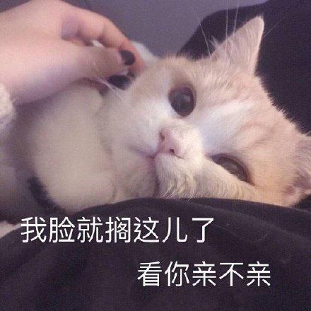 亲亲的表情包|亲亲小宝贝儿