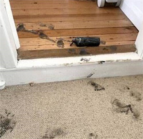 �ܺ����ڼ��˲���ʱ���������ң����¼�����ʧ��ǧӢ��